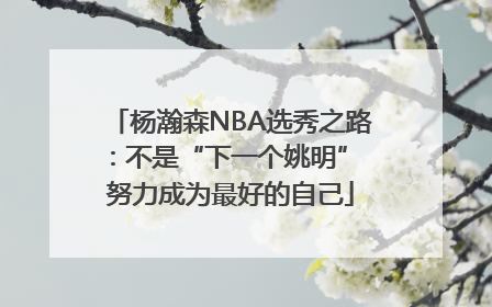 杨瀚森NBA选秀之路：不是“下一个姚明” 努力成为最好的自己