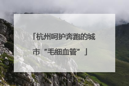 杭州呵护奔跑的城市“毛细血管”