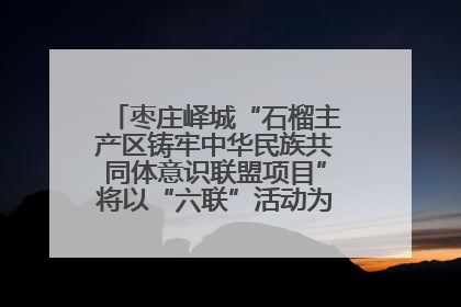 枣庄峄城“石榴主产区铸牢中华民族共同体意识联盟项目”将以“六联”活动为抓手深化品牌建设