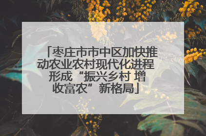 枣庄市市中区加快推动农业农村现代化进程 形成“振兴乡村 增收富农”新格局