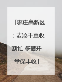 枣庄高新区：麦浪千重收割忙 多措并举保丰收