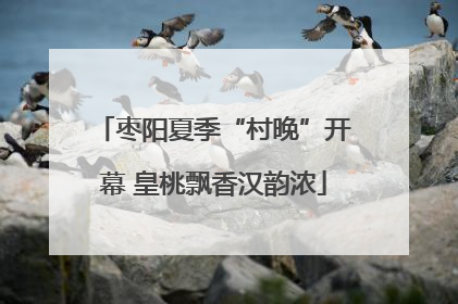 枣阳夏季“村晚”开幕 皇桃飘香汉韵浓