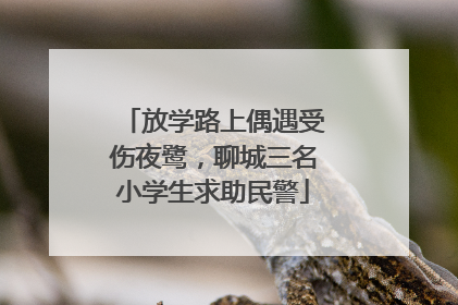 放学路上偶遇受伤夜鹭，聊城三名小学生求助民警