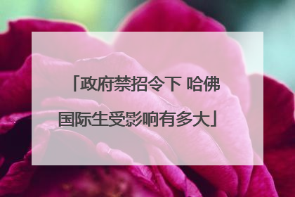 政府禁招令下 哈佛国际生受影响有多大