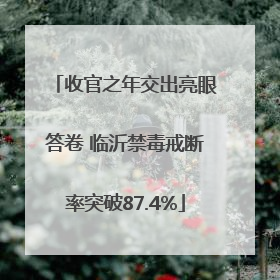 收官之年交出亮眼答卷 临沂禁毒戒断率突破87.4%