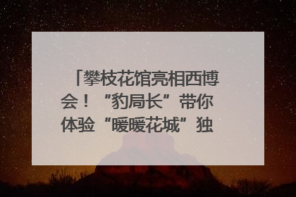 攀枝花馆亮相西博会！“豹局长”带你体验“暖暖花城”独特魅力｜西博视界