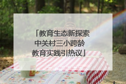 教育生态新探索 中关村三小跨龄教育实践引热议
