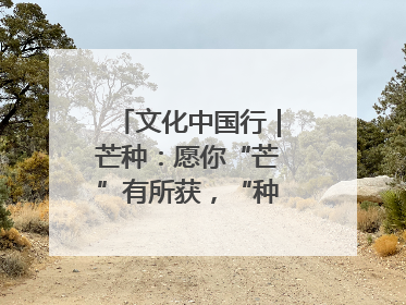 文化中国行｜芒种：愿你“芒”有所获，“种”有所得
