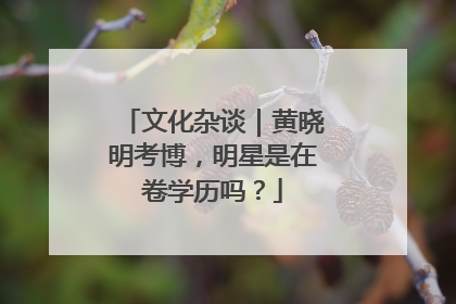 文化杂谈｜黄晓明考博，明星是在卷学历吗？
