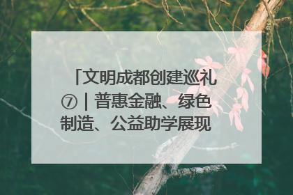 文明成都创建巡礼⑦｜普惠金融、绿色制造、公益助学展现城市文明底色