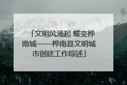 文明风涌起 蝶变桦南城——桦南县文明城市创建工作综述