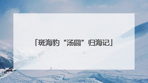 斑海豹“汤圆”归海记