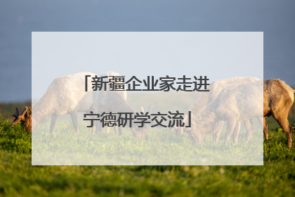新疆企业家走进宁德研学交流