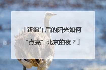 新疆午后的阳光如何“点亮”北京的夜？