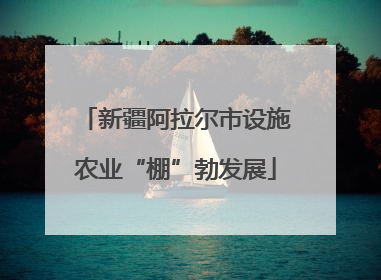 新疆阿拉尔市设施农业“棚”勃发展