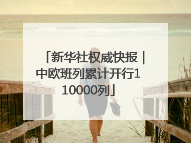 新华社权威快报｜中欧班列累计开行110000列