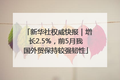 新华社权威快报｜增长2.5%，前5月我国外贸保持较强韧性