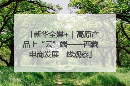 新华全媒+｜高原产品上“云”端——西藏电商发展一线观察
