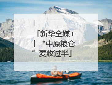 新华全媒+丨“中原粮仓”麦收过半