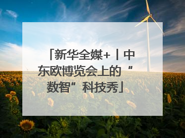 新华全媒+丨中东欧博览会上的“数智”科技秀