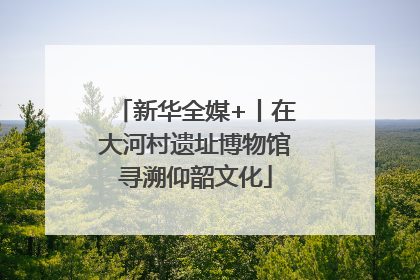 新华全媒+丨在大河村遗址博物馆寻溯仰韶文化