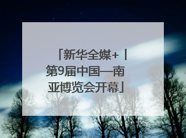 新华全媒+丨第9届中国—南亚博览会开幕