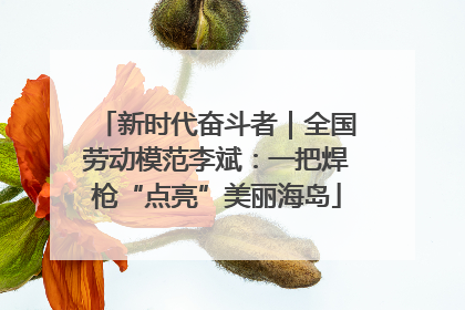 新时代奋斗者｜全国劳动模范李斌：一把焊枪“点亮”美丽海岛