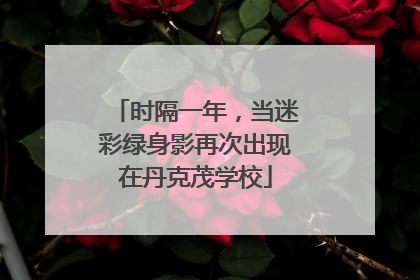 时隔一年，当迷彩绿身影再次出现在丹克茂学校