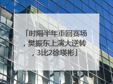 时隔半年重回赛场，樊振东上演大逆转，3比2徐瑛彬