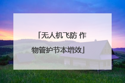 无人机飞防 作物管护节本增效