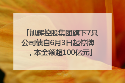 旭辉控股集团旗下7只公司债自6月3日起停牌，本金额超100亿元