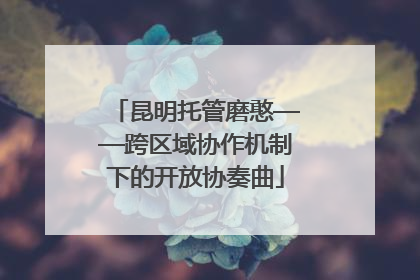 昆明托管磨憨——跨区域协作机制下的开放协奏曲