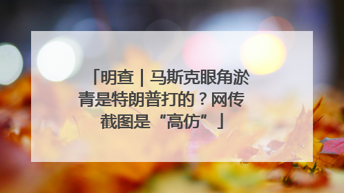 明查｜马斯克眼角淤青是特朗普打的？网传截图是“高仿”