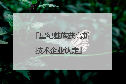 星纪魅族获高新技术企业认定