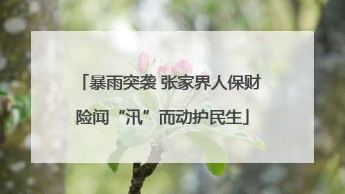 暴雨突袭 张家界人保财险闻“汛”而动护民生