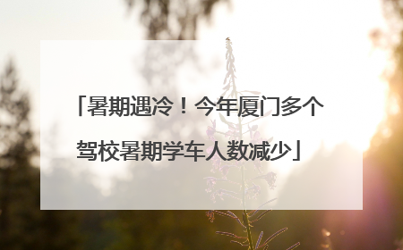 暑期遇冷！今年厦门多个驾校暑期学车人数减少