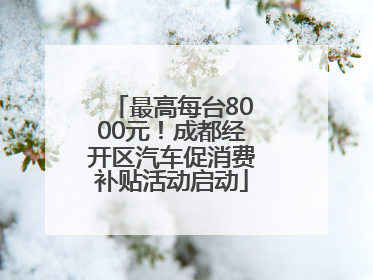 最高每台8000元！成都经开区汽车促消费补贴活动启动