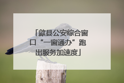 歙县公安综合窗口“一窗通办”跑出服务加速度
