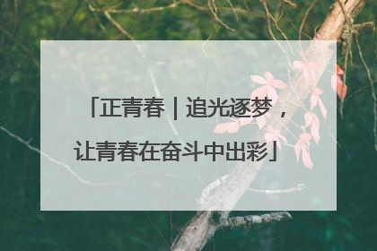正青春｜追光逐梦，让青春在奋斗中出彩
