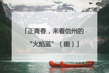 正青春，来看信州的“火焰蓝”（图）