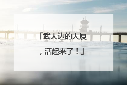 武大边的大厦，活起来了！