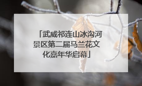 武威祁连山冰沟河景区第二届马兰花文化嘉年华启幕