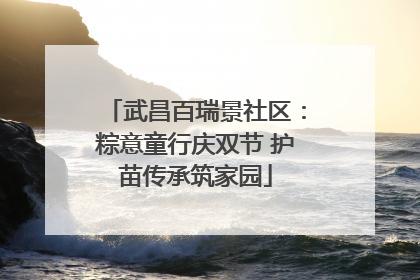 武昌百瑞景社区：粽意童行庆双节 护苗传承筑家园