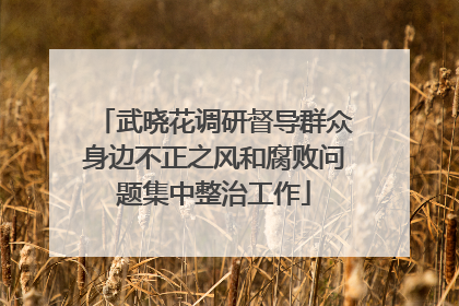 武晓花调研督导群众身边不正之风和腐败问题集中整治工作