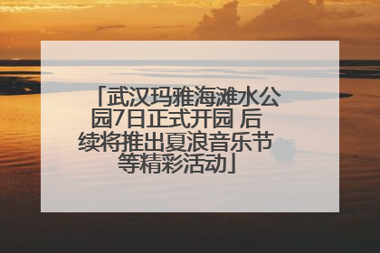 武汉玛雅海滩水公园7日正式开园 后续将推出夏浪音乐节等精彩活动