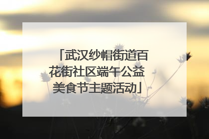 武汉纱帽街道百花街社区端午公益美食节主题活动