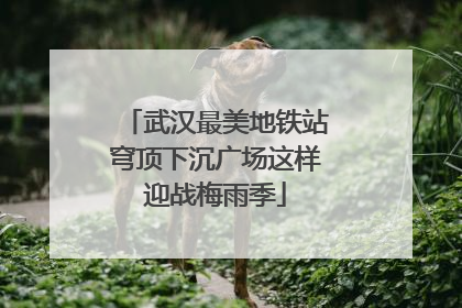 武汉最美地铁站穹顶下沉广场这样迎战梅雨季