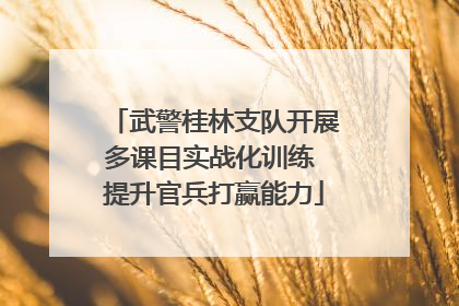 武警桂林支队开展多课目实战化训练 提升官兵打赢能力