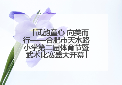 武韵童心 向美而行——合肥市天水路小学第二届体育节暨武术比赛盛大开幕