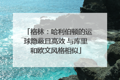 格林：哈利伯顿的运球隐蔽且高效 与库里和欧文风格相似